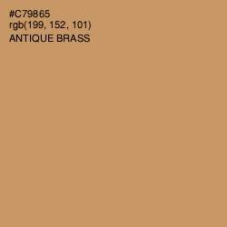 #C79865 - Antique Brass Color Image